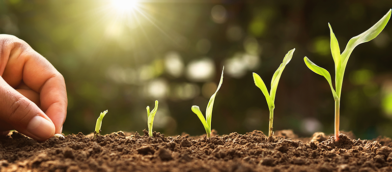 desarrollar-la-paciencia-en-ninos